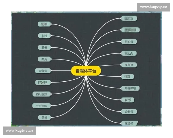 全面掌握自媒体教程百度云资源的实用内容创作与运营技巧指南手册